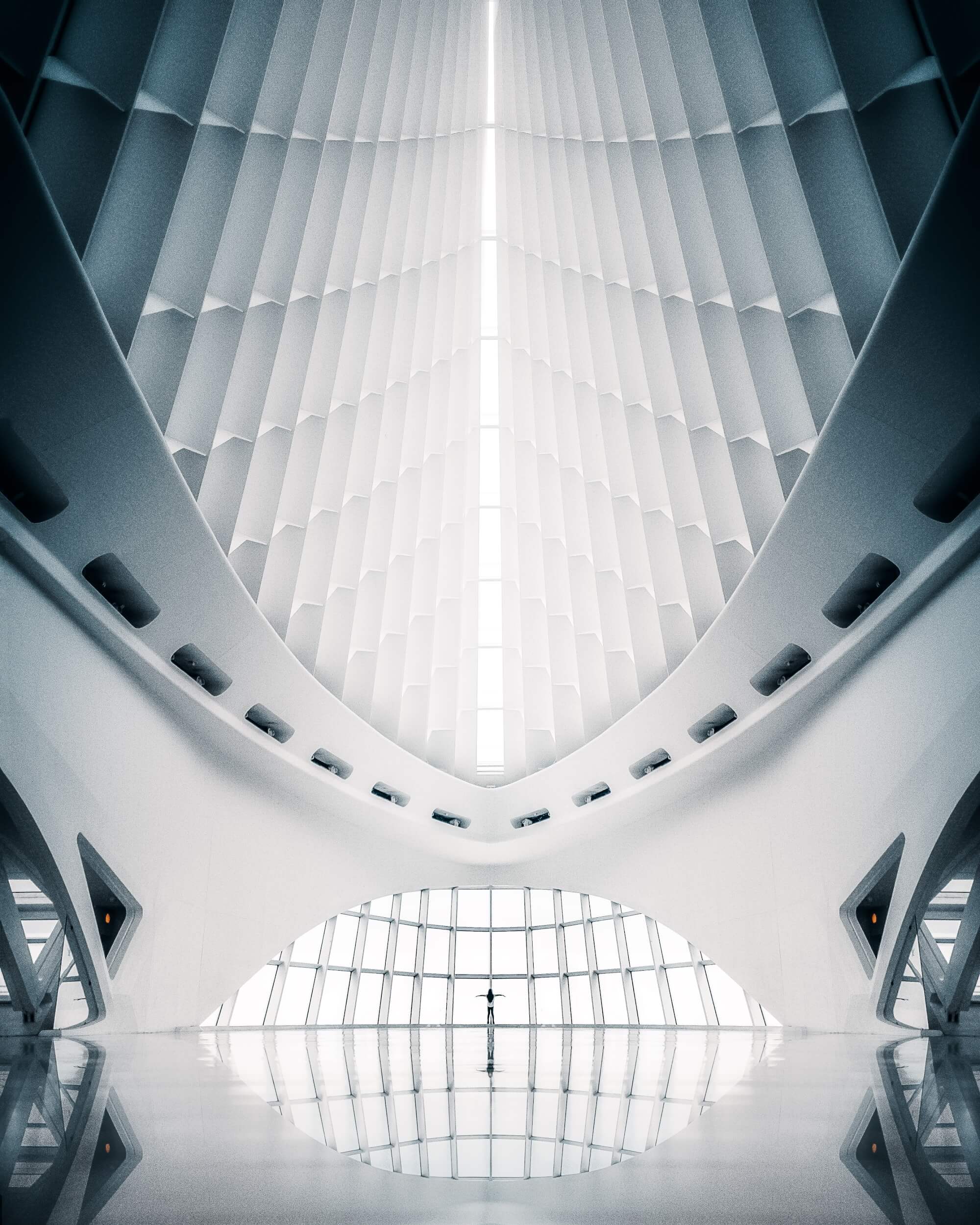 pexels-benjamin-suter-2400547